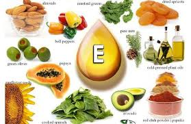 diagram of healthy food options